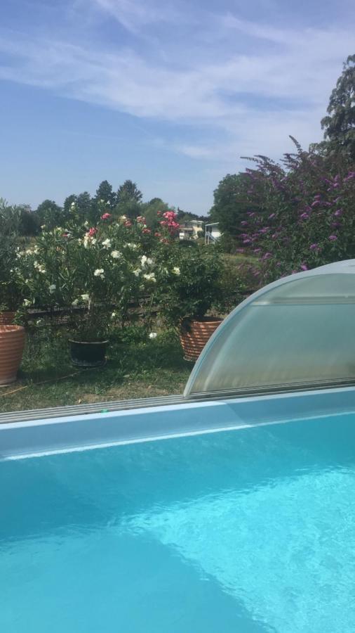 Blaues Haus Apartment Niederdorfelden Екстериор снимка