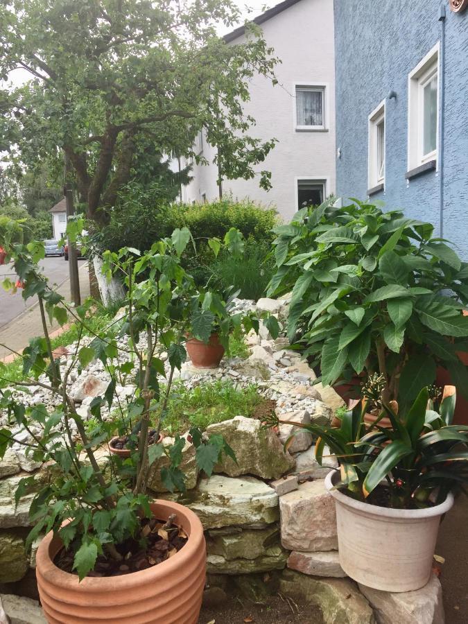 Blaues Haus Apartment Niederdorfelden Екстериор снимка