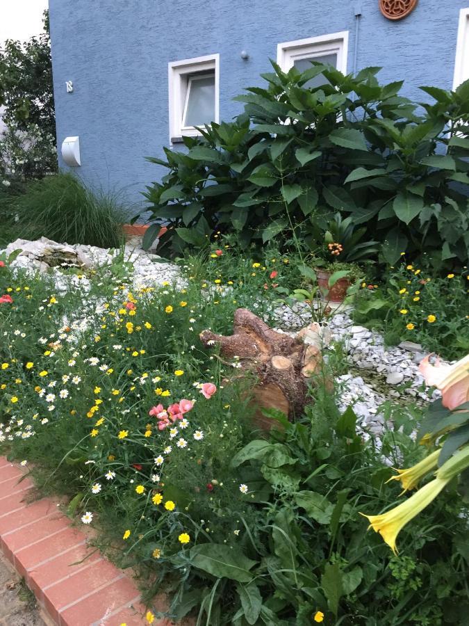 Blaues Haus Apartment Niederdorfelden Екстериор снимка