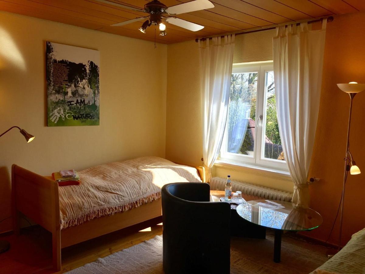 Blaues Haus Apartment Niederdorfelden Екстериор снимка