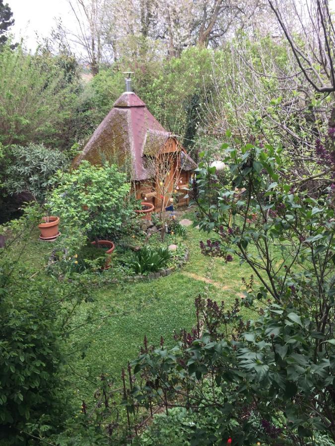 Blaues Haus Apartment Niederdorfelden Екстериор снимка