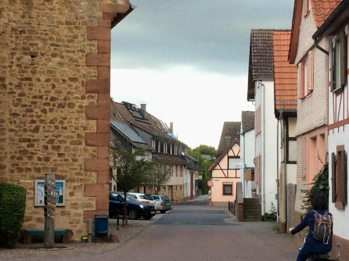 Blaues Haus Apartment Niederdorfelden Екстериор снимка