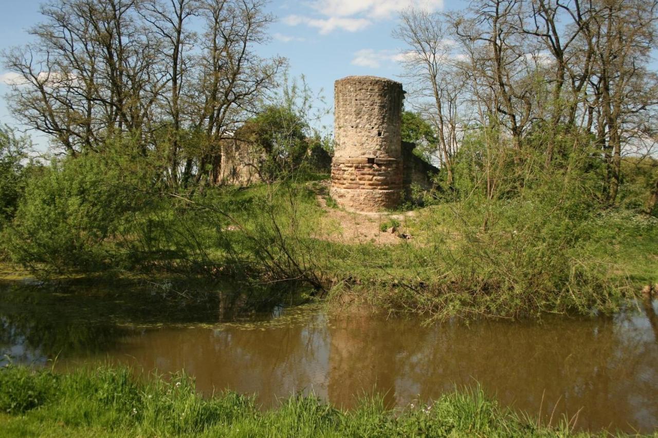 Blaues Haus Apartment Niederdorfelden Екстериор снимка